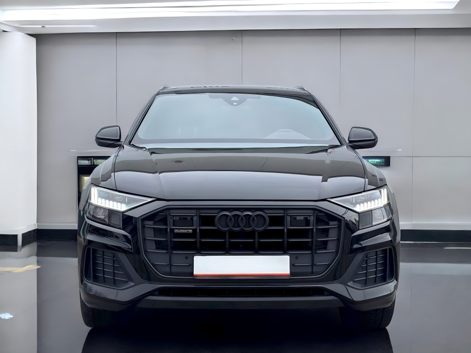 Audi Q8 50 TDI quattro (2)