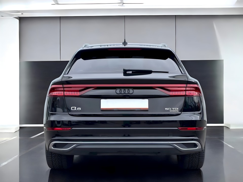 Audi Q8 50 TDI quattro (5)