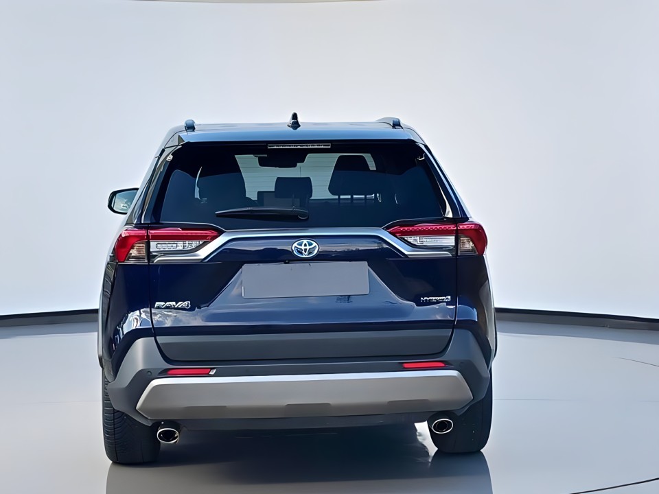 Toyota RAV4 2.5 Hybrid Luxury Premium (4)