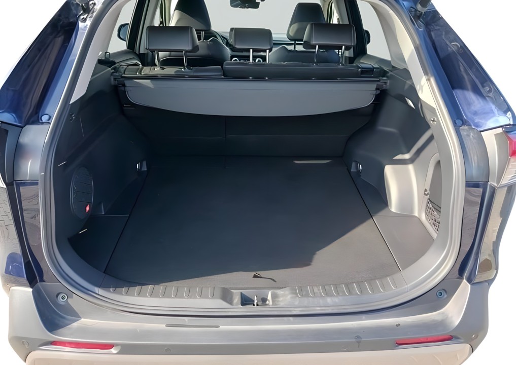 Toyota RAV4 2.5 Hybrid Luxury Premium - foto 22