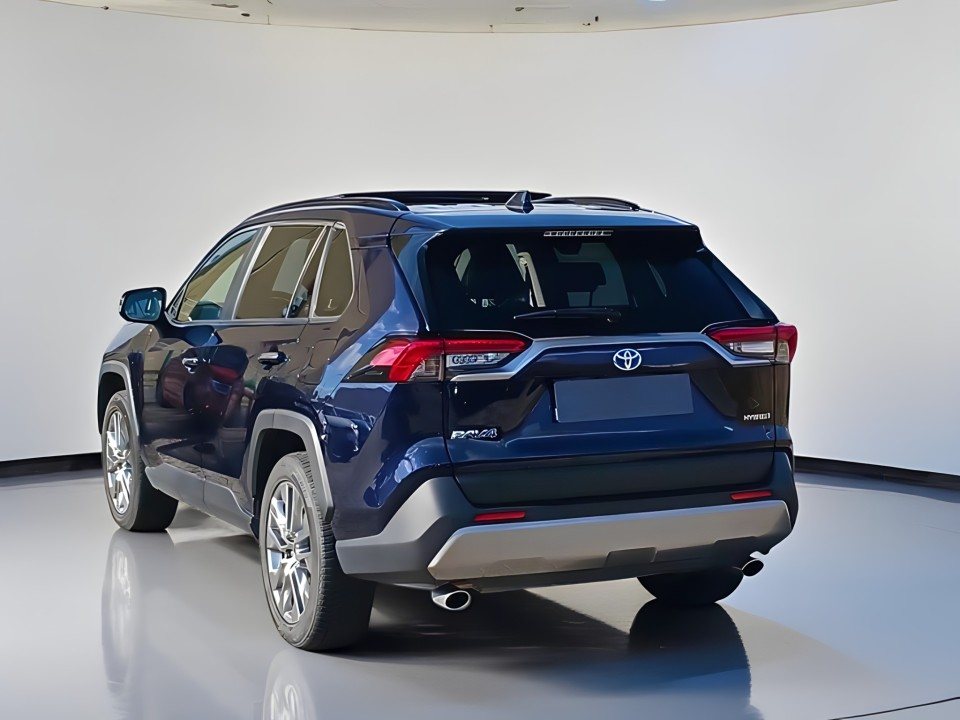 Toyota RAV4 2.5 Hybrid Luxury Premium (5)