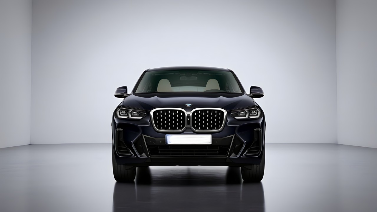 BMW X4 xDrive 20I (5)
