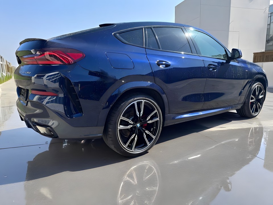 BMW X6 30d M-Sport (3)