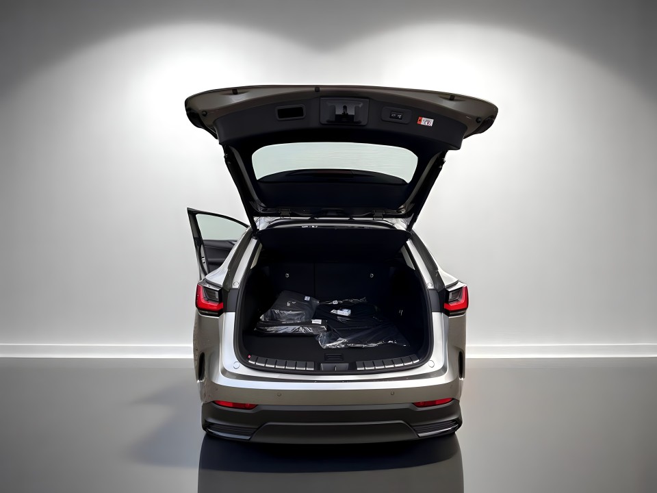 Lexus NX - foto 19