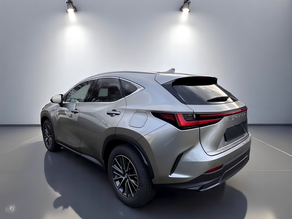 Lexus NX (5)