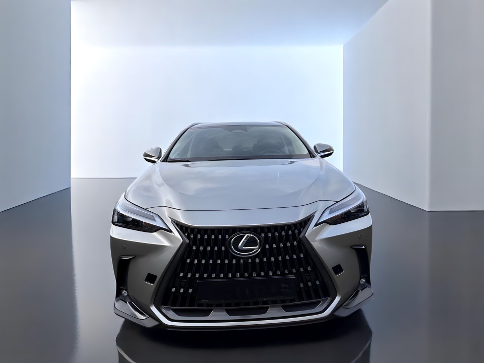 Lexus NX - foto 8
