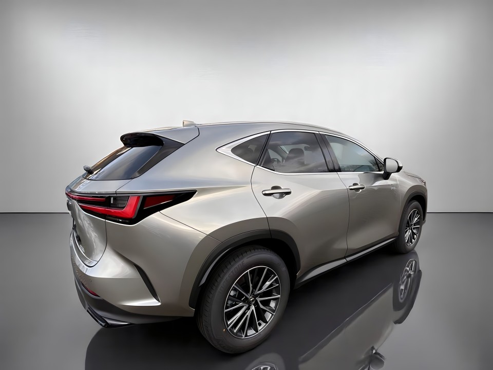 Lexus NX (3)