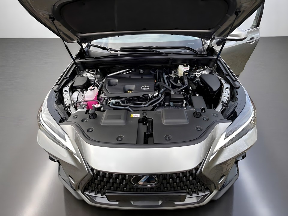Lexus NX - foto 18