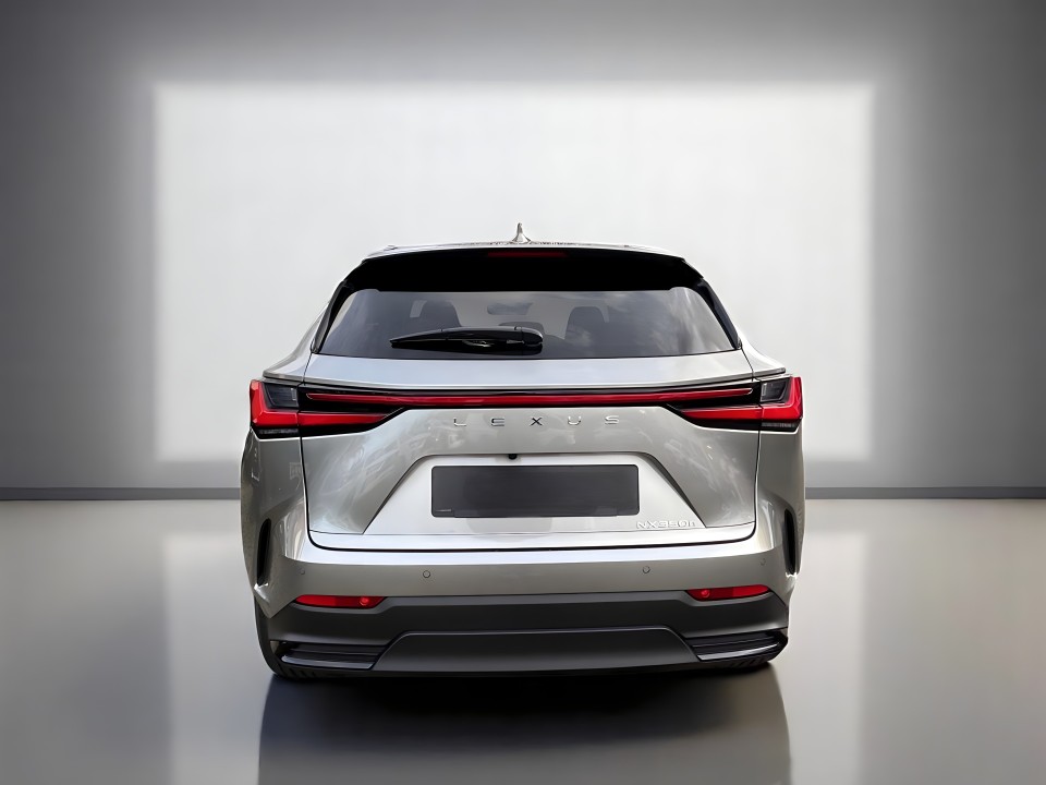 Lexus NX (4)