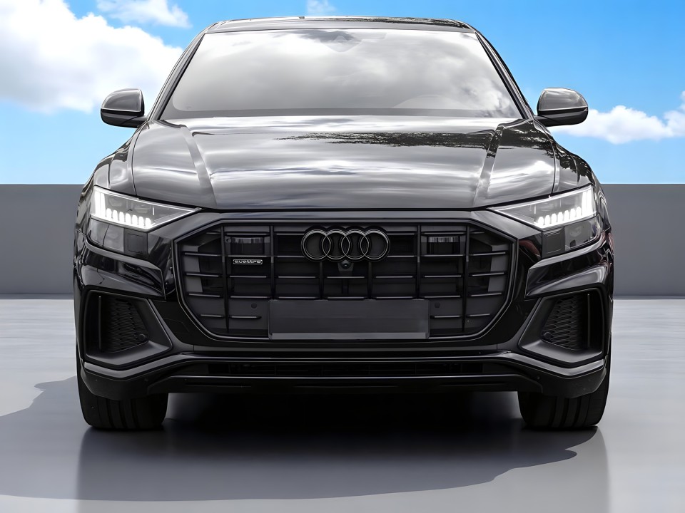 Audi Q8 50 TDI quattro (2)