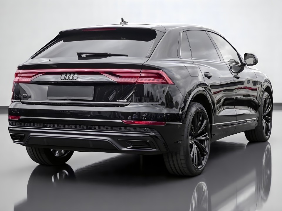Audi Q8 50 TDI quattro (4)