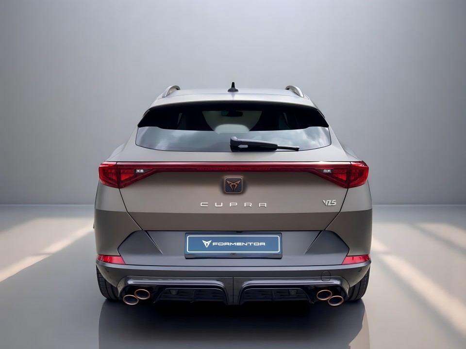Cupra Formentor VZ 5 (4)