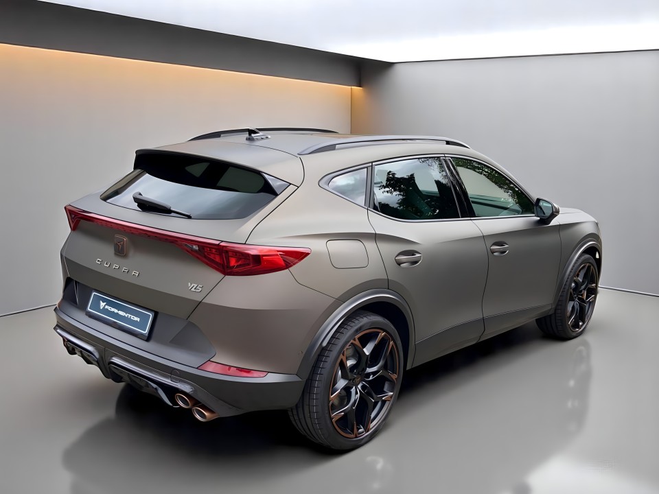 Cupra Formentor VZ 5 (3)