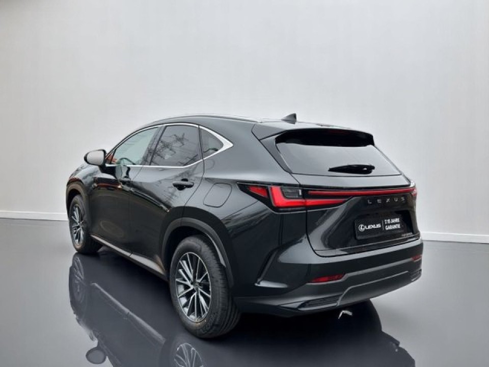 Lexus Seria NX 350h Business Line (5)