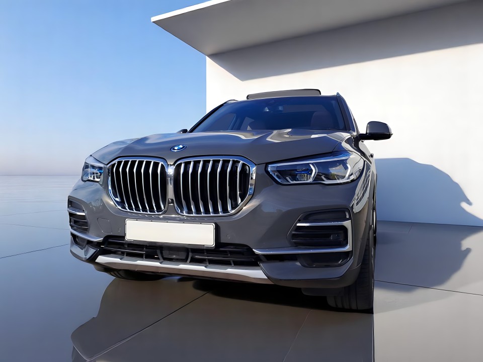 BMW X5 xDrive 45e (2)