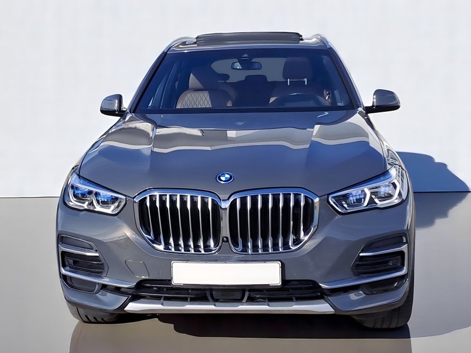 BMW X5 xDrive 45e (3)
