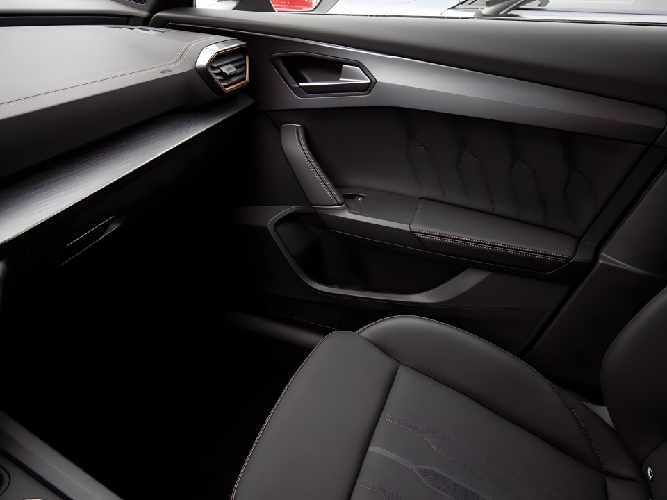 Cupra Formentor TSI - foto 9