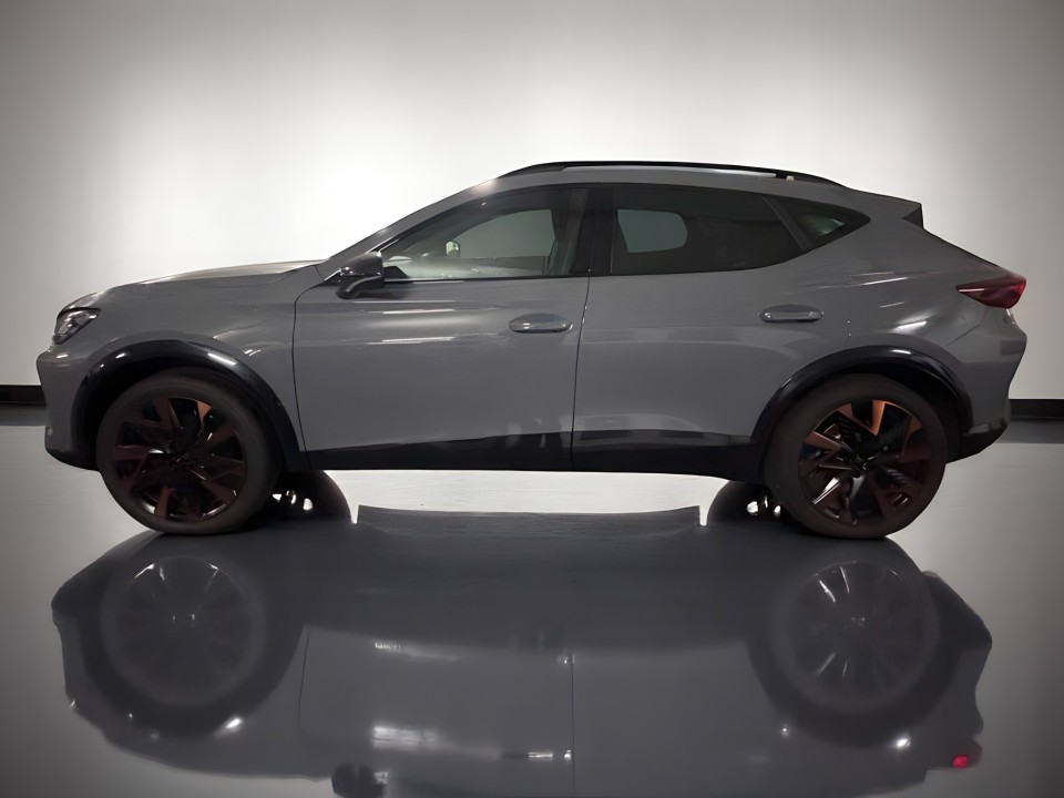 Cupra Formentor eTSI (5)