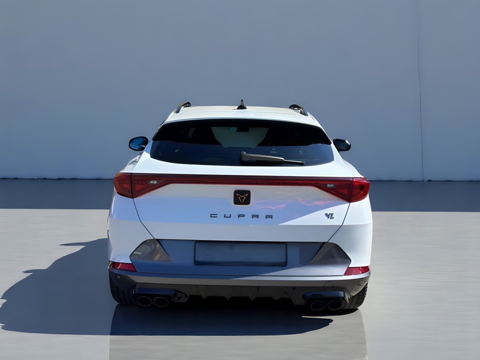 Cupra Formentor 4Drive (3)