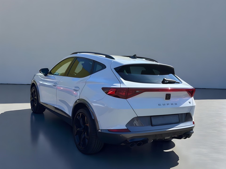 Cupra Formentor 4Drive (4)