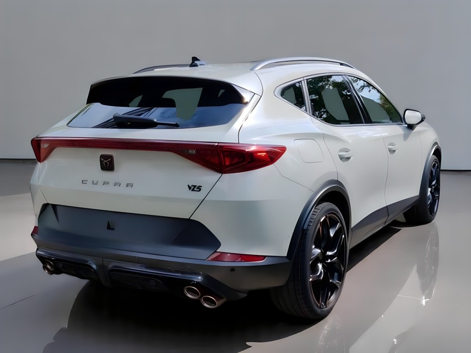 Cupra Formentor TFSI (4)