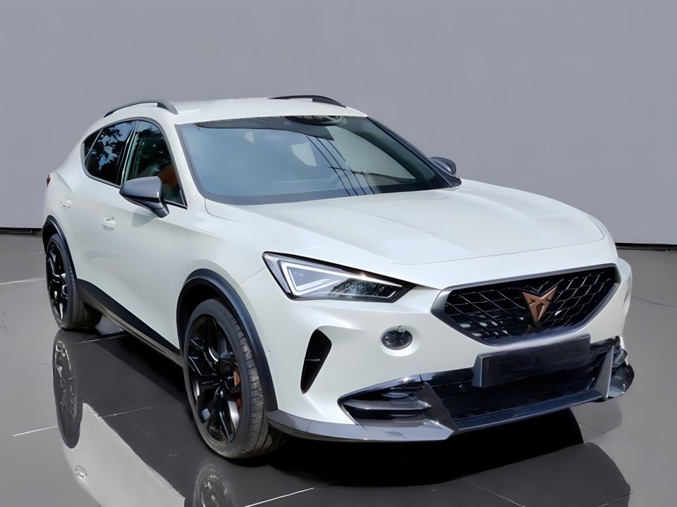 Cupra Formentor TFSI (3)