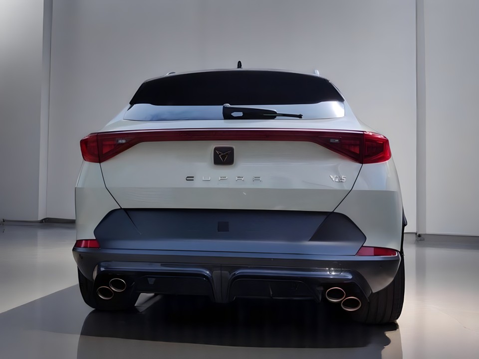 Cupra Formentor TFSI (5)