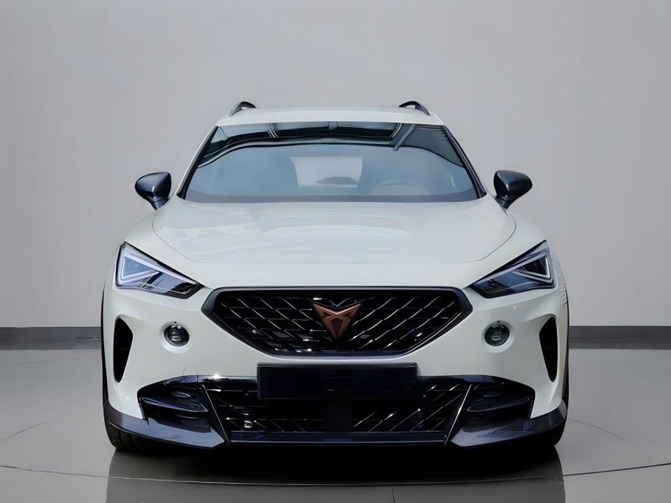 Cupra Formentor TFSI (2)