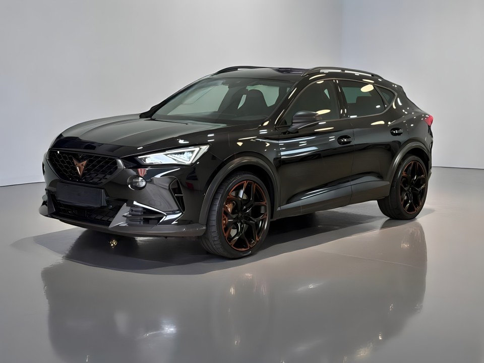 Cupra Formentor 4Drive (4)