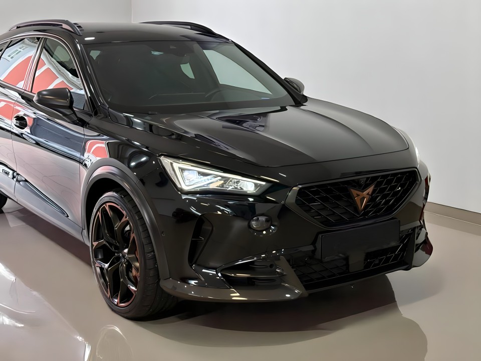 Cupra Formentor 4Drive (3)