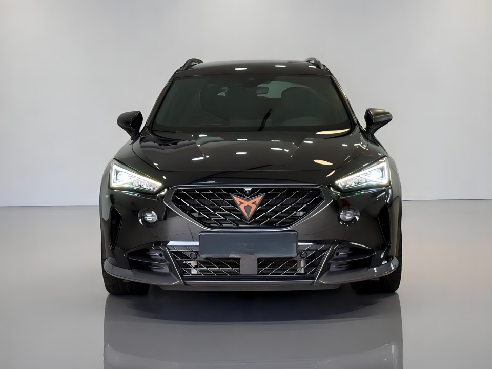 Cupra Formentor 4Drive (2)