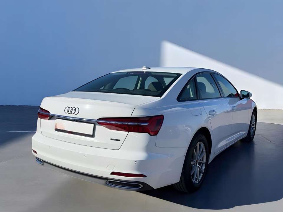 Audi A6 50 TDI quattro (4)