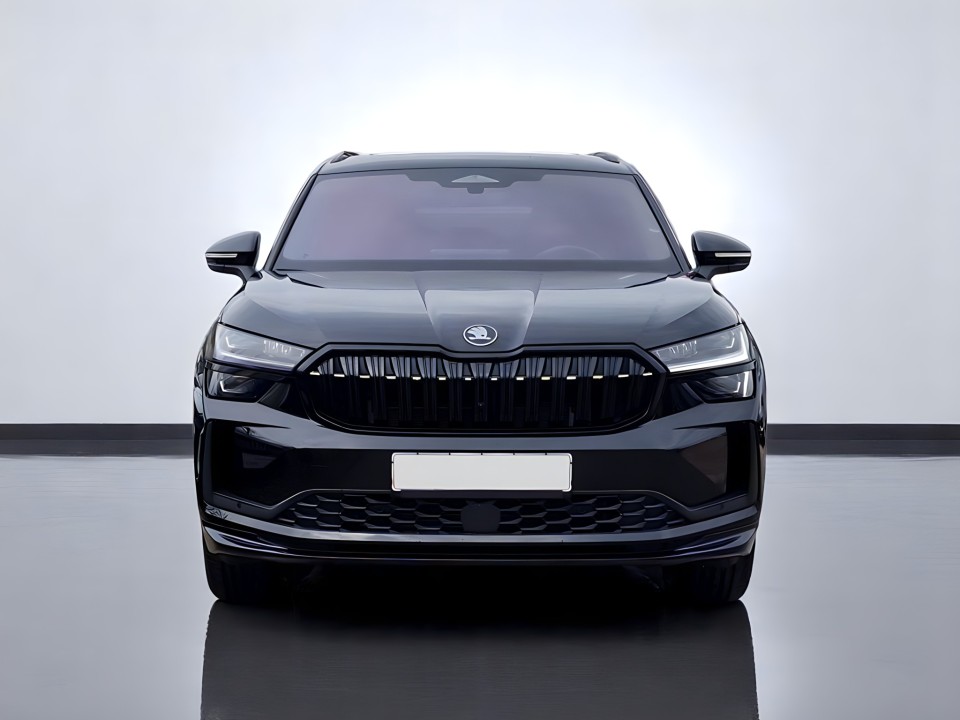 Skoda Kodiaq (2)