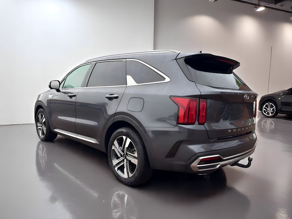 Kia Sorento Spirit (5)
