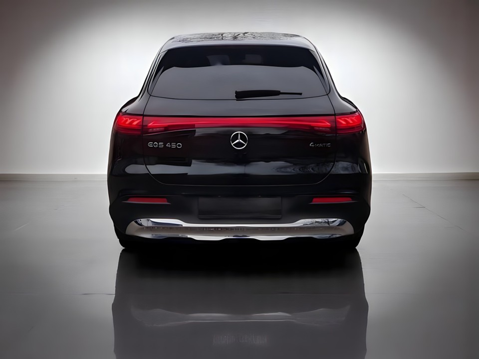 Mercedes-Benz EQS 450 4MATIC (5)