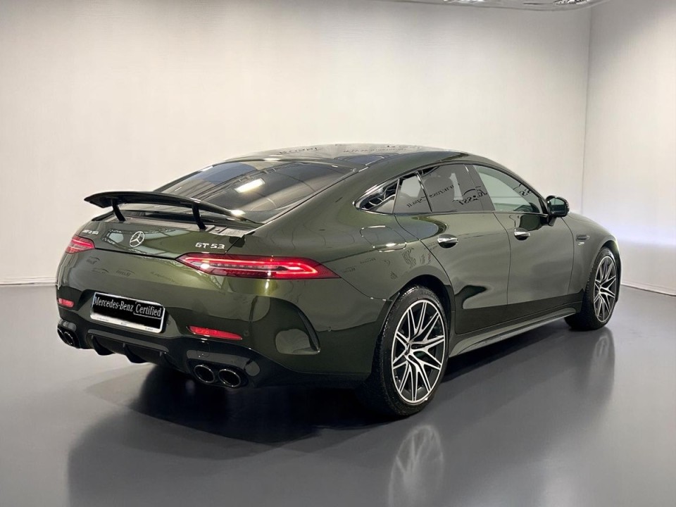 Mercedes-Benz AMG GT 4 53 4MATIC+ (5)