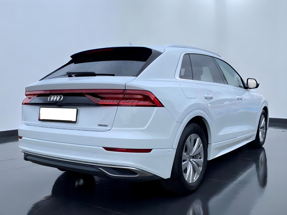 Audi Q8 50 TDI quattro (3)