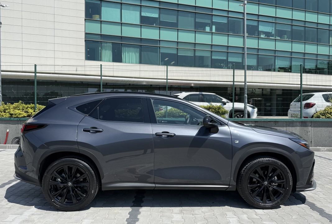 Lexus Seria NX 350h AWD F-Sport (2)