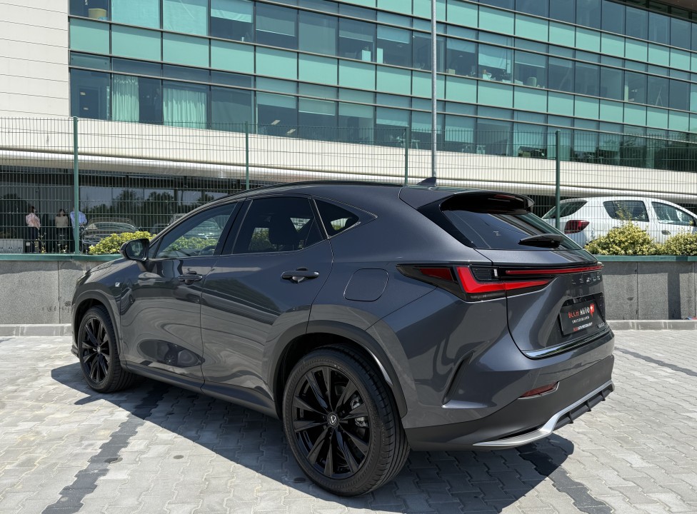 Lexus Seria NX 350h AWD F-Sport (5)