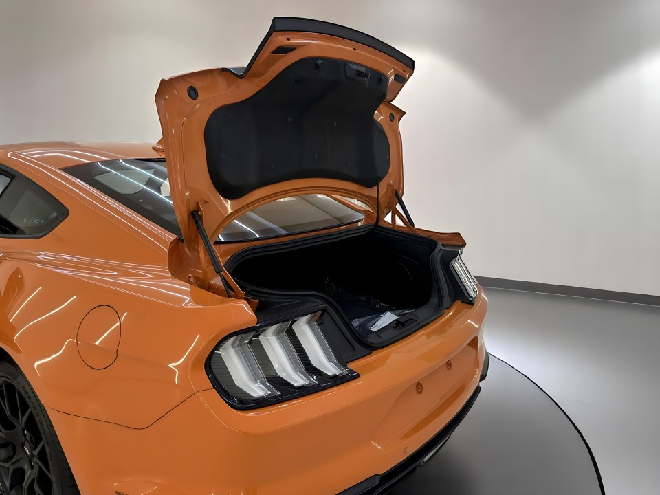 Ford Mustang - foto 21