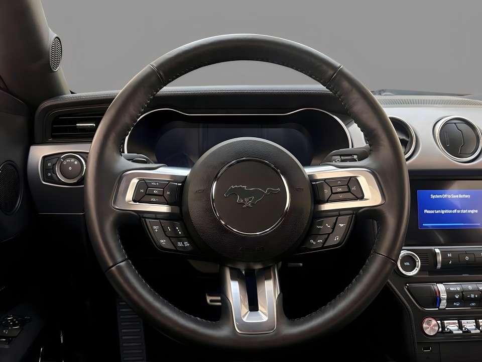 Ford Mustang (3)