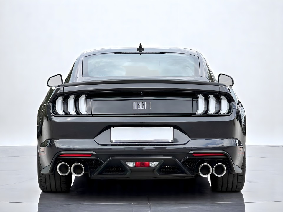 Ford Mustang MACH 1 (5)