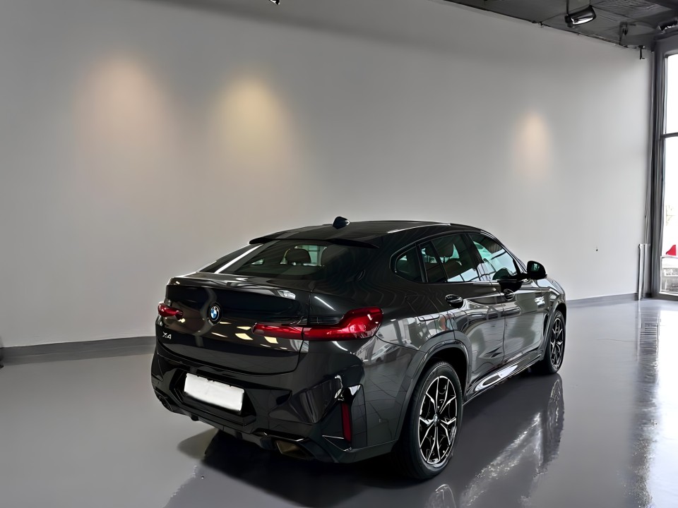 BMW X4 xDrive20i M-Sport (3)