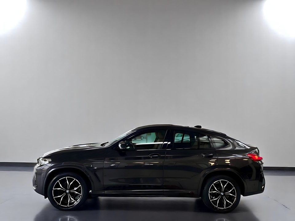 BMW X4 xDrive20i M-Sport (5)