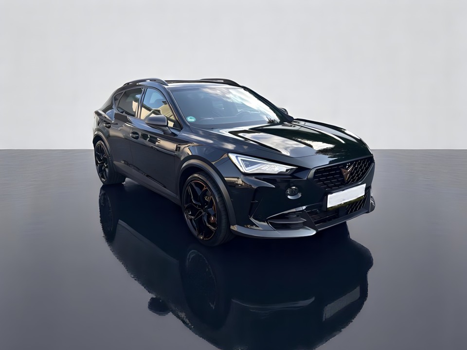 Cupra Formentor VZ5 2.5TSi 4DRIVE (3)