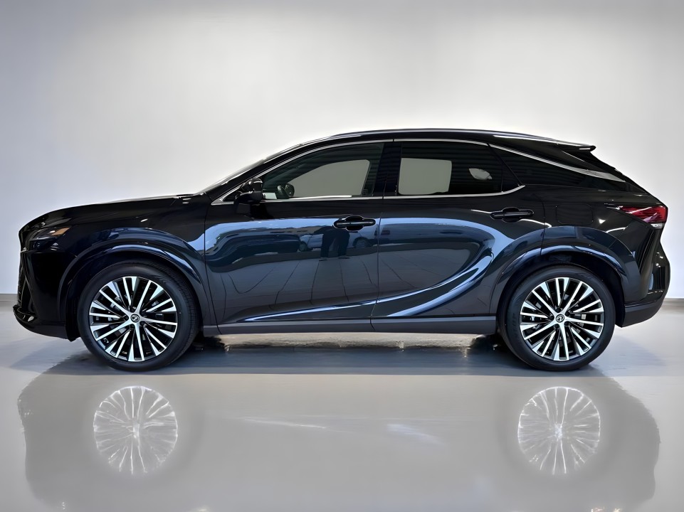 Lexus Seria RX 350h AWD Executive (4)