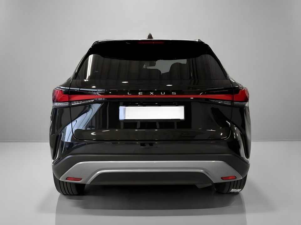 Lexus Seria RX 350h AWD Executive (2)