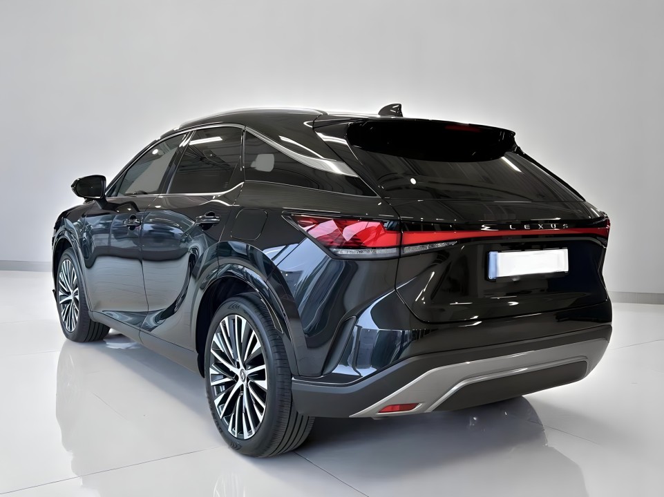Lexus Seria RX 350h AWD Executive (3)