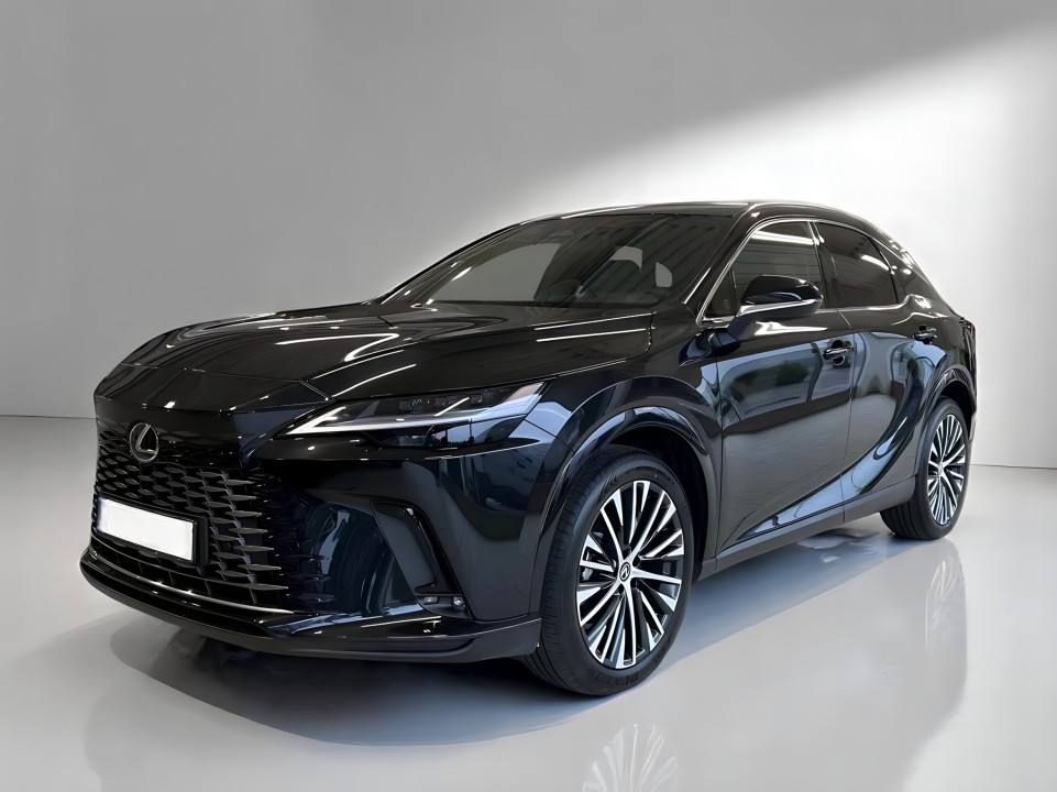 Lexus Seria RX 350h AWD Executive (5)