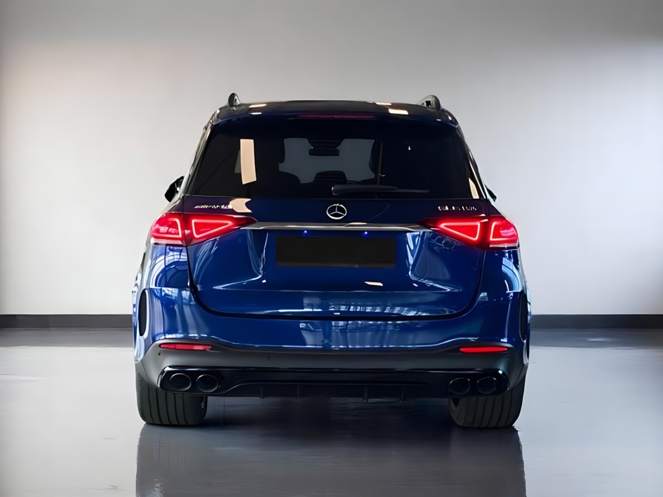 Mercedes-Benz GLE SUV AMG 53 4MATIC+ (4)